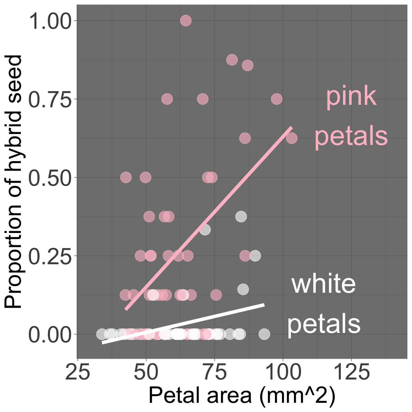 Scatterplot of proportion of hybrid seed (y-axis) versus petal area in mm² (x-axis), with points colored by petal color (pink or white) and corresponding colored regression lines. The pink-petaled group has a higher intercept, but both lines share a similar slope visually. Note: the model used does not include an interaction term, so any difference in slope is visual and not statistically estimated in our model below.