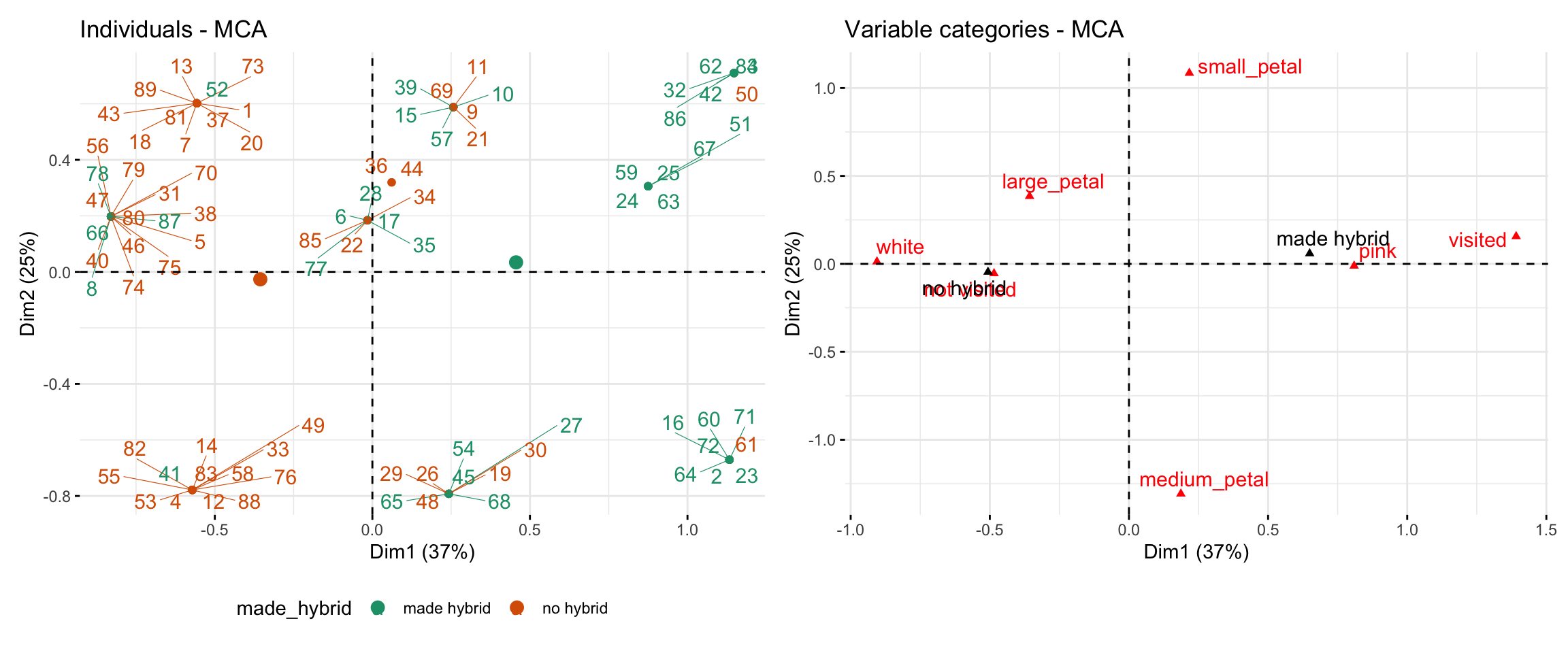 Plots from an MCA of categorical parviflora traits. Left: A scatterplot of individual lines colored by whether they made hybrid seed. Points cluster by category and are connected to the centroid of their group. Right: The same MCA space showing only trait categories (e.g., `white`, `pink`, `visited`, `not visited`). Red triangles mark variable levels, positioned based on their contribution to Dim 1 and Dim 2. Categories associated with hybrid formation are shifted to the right.
